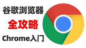 谷歌浏览器实用技巧大全丨新手必看使用攻略